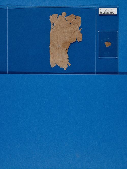 verso verso