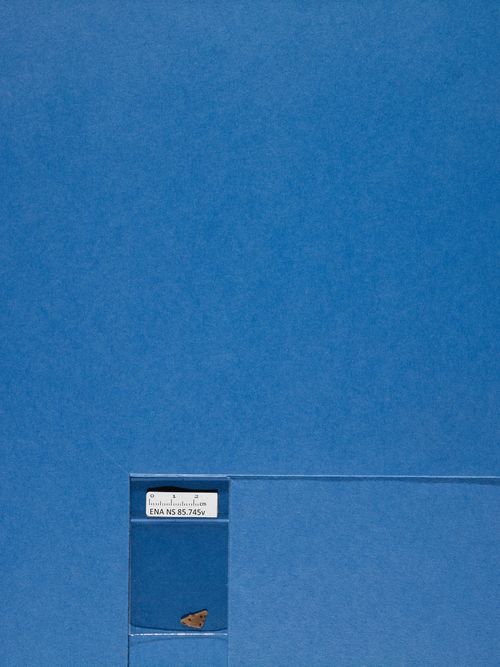 verso verso