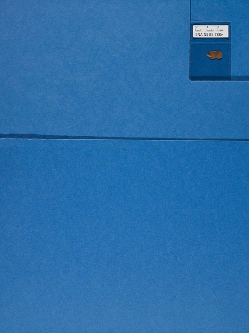 verso verso