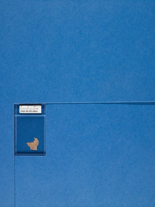 verso verso