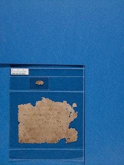 recto