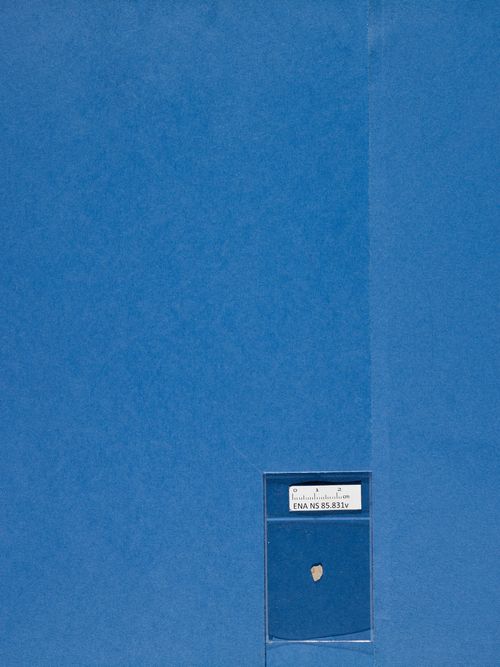 verso verso